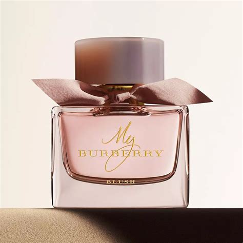 burberry parfum damen preis|best burberry perfume for women.